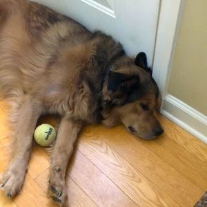 Even though you want to give up.....